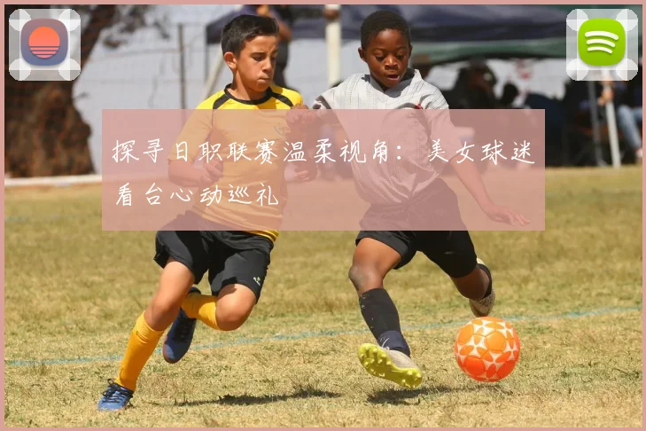 探寻日职联赛温柔视角:美女球迷看台心动巡礼
